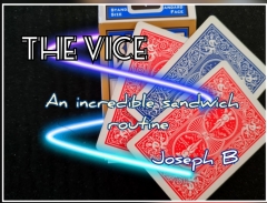 THE VICE By Joseph B