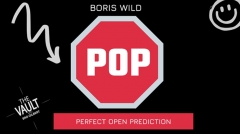 The Vault - Pop by Boris Wild