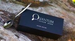 Quantum Spoon Bend (Online Instructions) by Peter Eggink