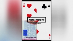 Meta-Morph (Online Instructions) by Axel Vergnaud