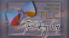 TLC (The Linking Cup) by Stefanus Alexander