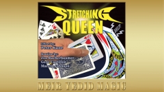 The Stretching Queen (Online Instruction) by Peter Kane, Racherbaumer, Castilon and Johnson