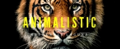 ANIMALISTIC By Alexander Laguna