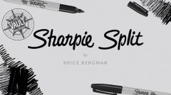 The Vault - Sharpie Split by Brice Bergman