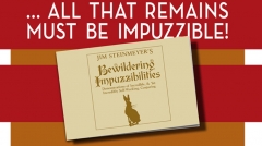 Bewildering Impuzzibilities by Jim Steinmeyer