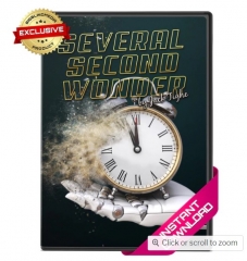 Several Second Wonder by Jack Tighe