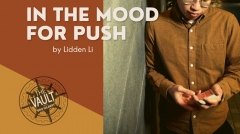 The Vault - In The Mood For Push by Lidden Li