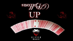 Bottoms UP by Viper Magic