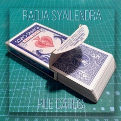 Pile Cards by Radja Syailendra