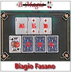 Red Code by Biagio Fasano