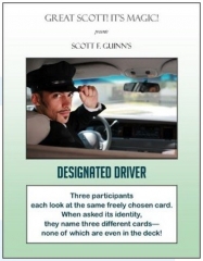 Designated Driver by Scott F. Guinn
