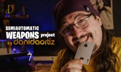 The Random Selection and Destiny by Dani DaOrtiz (Semi-Automatic Weapons Project Chapter 7)