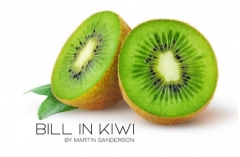 Bill in Kiwi By Martin Sanderson