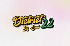 District 22 by Geni