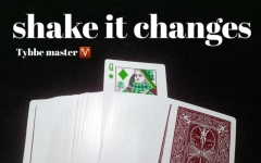 Shake it change by Tybbe master
