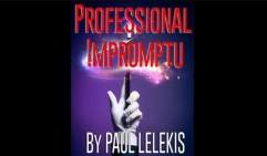 PROFESSIONAL IMPROMPTU by Paul A. Lelekis