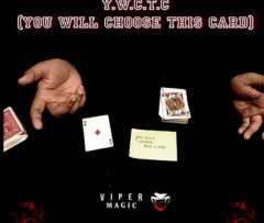 Y.W.C.T.C by Viper Magic