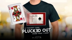 PLUCKED OUT (Online Instructions) by JOTA