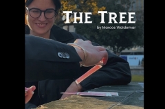 THE TREE by Marcos Waldemar & Invisible Compass