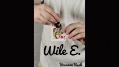 Wile E. by Brennan Bush