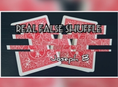 REAL FALSE SHUFFLE by Joseph B.