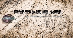 Fortune Silver by Alessandro Criscione (original download , no watermark)