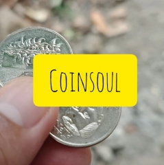 CoinSoul by Arnel Renegado (Original Download , no watermark)