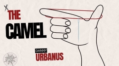 The Vault - The Camel by Danny Urbanus (original download , no watermark)