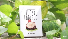 Lucky Ladybug (Online Instructions) by Joshua Ray & Deuce Gala Magic
