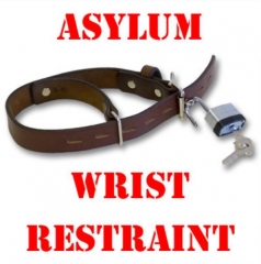 Asylum Wrist Restraint by Blaine Harris