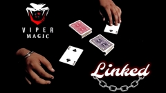 Linked by Viper Magic (original download , no watermark)