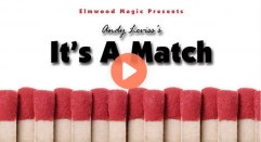 It's A Match by Andy Leviss