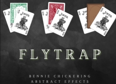 Fly Trap (Online Instructions) by Bennie Chickering