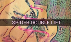 SPIDER DOUBLE LIFT by TN