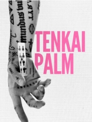 Daniel Madison – The TENKAI PALM Masterclass