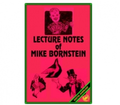 LECTURE NOTES OF MIKE BORNSTEIN PDF