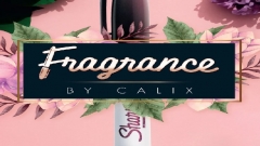 Fragrance – Calix and Magic Dream