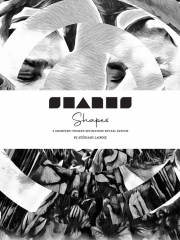 Stephane Lacroix – SHAPES