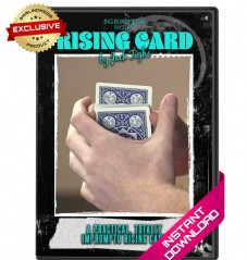 Rising Card by Jack Tighe