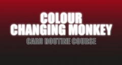 Craig Petty – Colour Changing Monkey