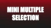 Mini Multiple Selection by Craig Petty