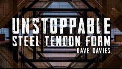 Dave Davies – Unstoppable Steel Tendon Form