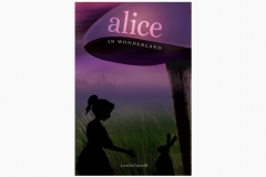 Alice Book Test by Josh Zandman