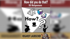 How Did You Do That by Regardt Laubscher eBook