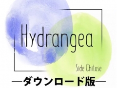 Hydrangea by Side Chitose (Japanese)