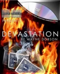 DEVASTATION BY WAYNE DOBSON