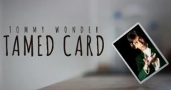 Tommy Wonder - Tamed Card