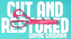 Wayne Goodman - Cut And Restored Rope