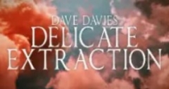 Dave Davies - Delicate Extraction