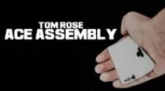 Tom Rose - Ace Assembly 2